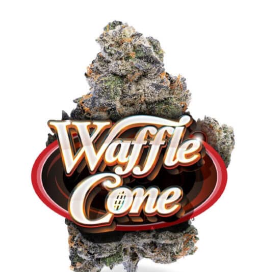 WAFFLE CONE 3.5g (jungle boys) HYBRID 39%TTHC - Image 3