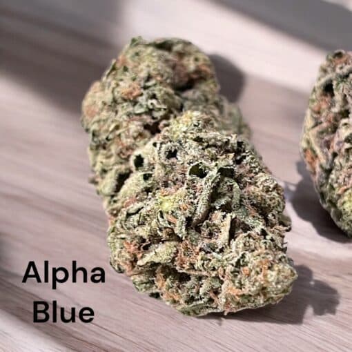 ALPHA BLUE 28g OZ SATIVA 26%THC 🔥🔥