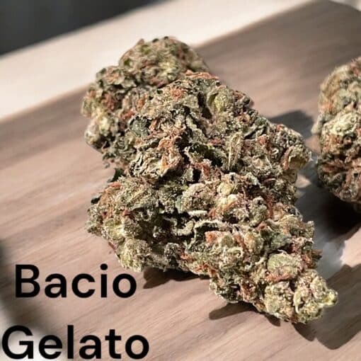 BACIO GELATO 28g OZ HYBRID 🔥🔥