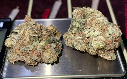 ALPINE  COOKIES 3.5g INDICA 28%THC 🔥🔥 - Image 3