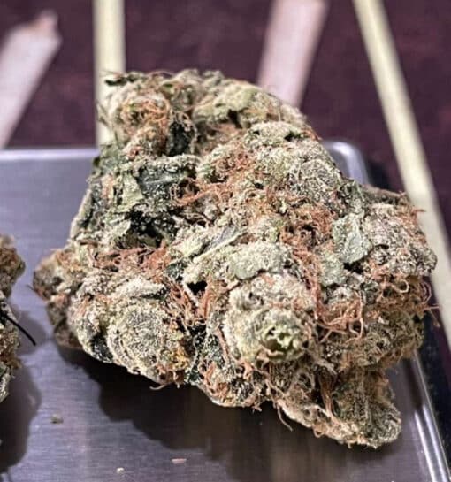 ALPINE COOKIES 28g OZ INDICA ON SALE 28%THC INDICA - Image 3