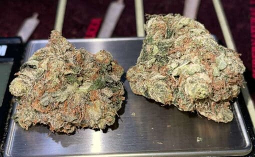 ALPINE COOKIES 28g OZ INDICA ON SALE 28%THC INDICA - Image 2