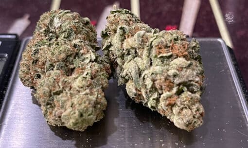 CANDY JACK 28g SATIVA ON SALE $100 🔥🔥 - Image 3