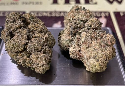 YELLOW FIN 3.5g EXOTIC ON SALE 🔥🔥35%THC HYBRID - Image 5
