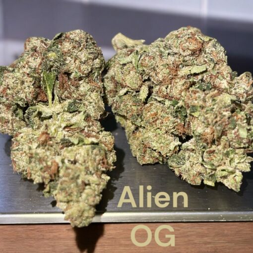 ALIEN OG 28g OZ ON SALE $100 26%THC 🔥🔥🔥HYBRID