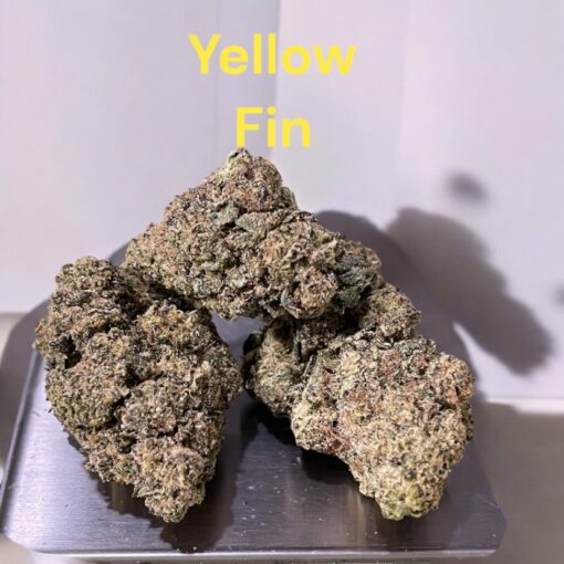 YELLOW FIN 3.5g EXOTIC ON SALE 🔥🔥35%THC HYBRID - Image 7