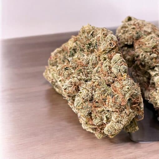 NORTHERN LIGHTS # 5 x HAZE 28GRAMS OZ ON SALE 🏆🏆🏆 RARE EXOTICS 36%THC LIMITED BATCH - Image 2