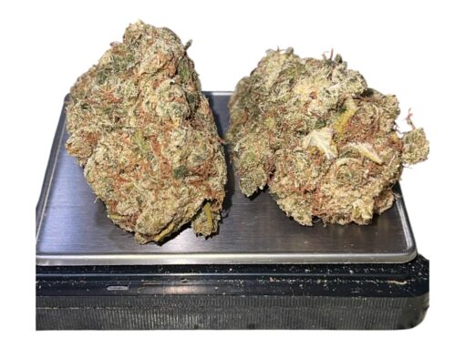 NORTHERN LIGHTS # 5 x HAZE 28GRAMS OZ ON SALE 🏆🏆🏆 RARE EXOTICS 36%THC LIMITED BATCH - Image 3