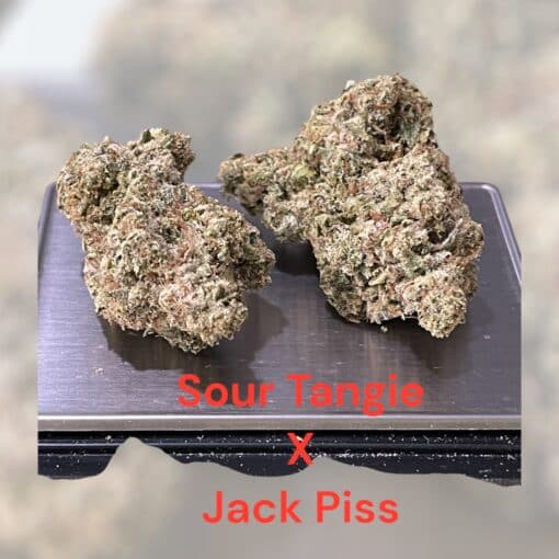 SOUR TANGIE x JACK PISS 28g OZ SATIVA 38%THC CUP WINNER 🏆 - Image 3