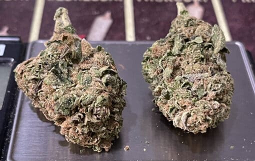 BANANA KUSH 28grams INDICA Oz ON SALE 26%THC - Image 3