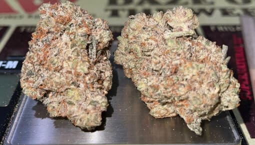 MoONSHINE HAZE🏆🏆 3.5g SATIVA 37%THC 🔥🔥RARE LIMITED BATCH - Image 5