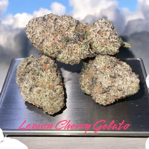 LEMON CHERRY GELATO 3.5g INDICA INDOOR 29%THC 🔥🔥