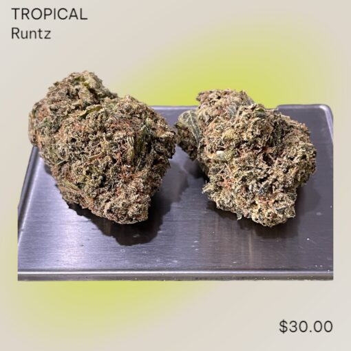 TROPICAL RUNTZ 3.5g HYBRiD 31%THC 🔥🔥 INDOOR - Image 2