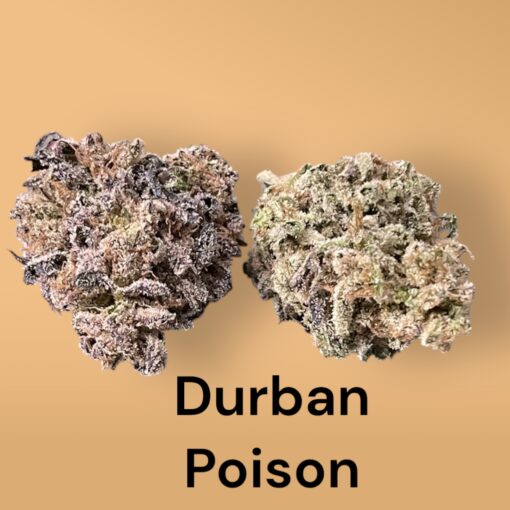 DURBAN POISON28g OZ SATIVA ON SALE 🔥🔥25%THC $100 - - Image 3