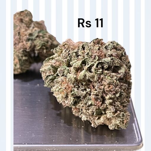 RS-11 SATIVA 28grams 25%THC 🔥🔥