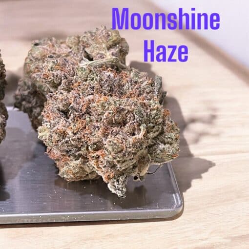 MoONSHINE HAZE🏆🏆 3.5g SATIVA 37%THC 🔥🔥RARE LIMITED BATCH - Image 2