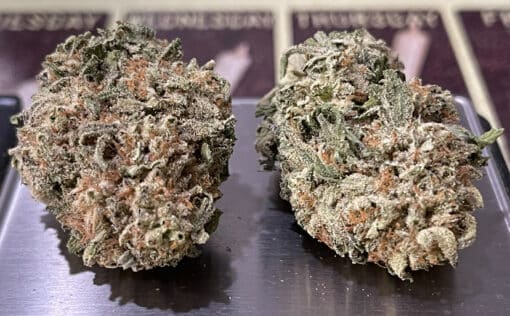 TANGIE 28g OZ SATIVA on SALE 🔥🔥26%THC - Image 4
