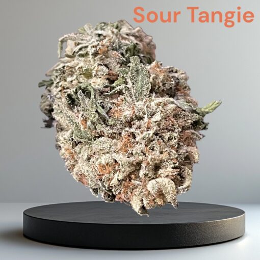 TANGIE 28g OZ SATIVA on SALE 🔥🔥26%THC