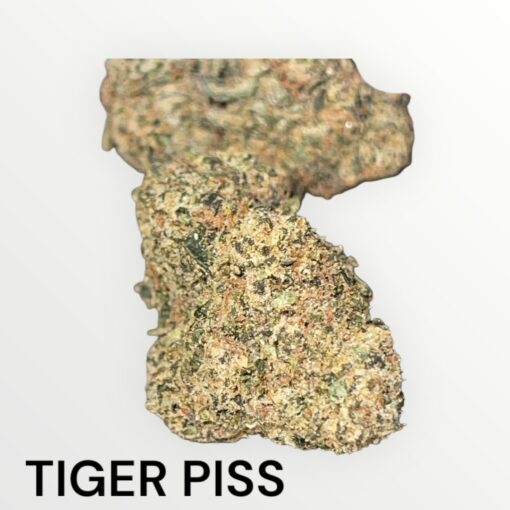 TIGER PISS 3.5g HYBRID 36%THC EXOTIC +++ 🏆🏆 - Image 4