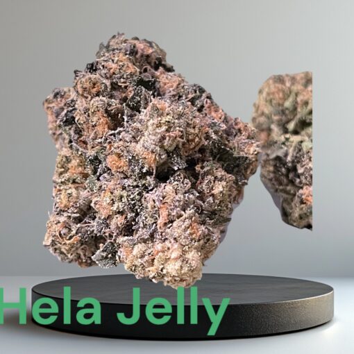 HELLA JELLY 3.5g SATIVA 37%THC LIMITED BATCH (HUMBOLT SEED CO) EXOTICS +++
