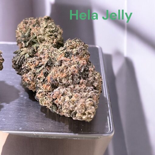 HELLA JELLY 3.5g SATIVA 37%THC LIMITED BATCH (HUMBOLT SEED CO) EXOTICS +++ - Image 4