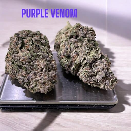 PURPLE VENOM 28g OZ ON SALE HYBRID  26%THC 🔥🔥🔥 - Image 2