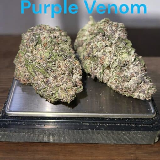 PURPLE VENOM 28g OZ ON SALE HYBRID  26%THC 🔥🔥🔥 - Image 4
