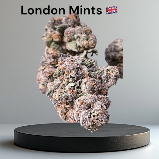 LONDON MINTS 3.5g INDICA INDOOR 29%THC (HOUSE EXOTICS) 🔥🔥