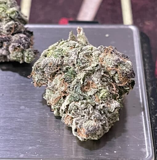 BUTTERSCOTCH GELATO 3.5g 33%THC MEDIUM/SMALL NUGS EXOTICS HYBRiD 🔥🔥🔥 - Image 3
