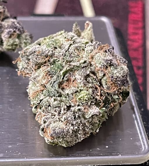 BUTTERSCOTCH GELATO 3.5g 33%THC MEDIUM/SMALL NUGS EXOTICS HYBRiD 🔥🔥🔥 - Image 4