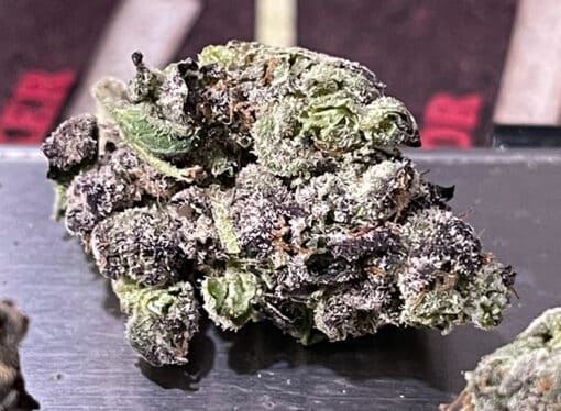 BUTTERSCOTCH GELATO 3.5g 33%THC MEDIUM/SMALL NUGS EXOTICS HYBRiD 🔥🔥🔥