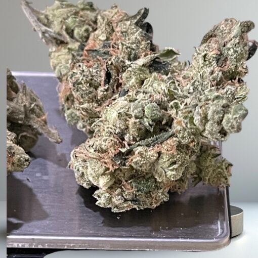 TOP DOG  SOUR  DIESEL 3.5 Sativa 🔥🔥 37%THC OLD SCHOOL SOUR NEW IN🔥🔥 - Image 3