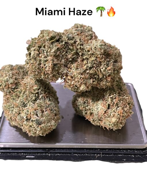 MIAMI HAZE 3.5g SATIVA 37%THC 🔥🌴🔥🌴 OLD SCHOOL HAZE - NEW BATCH LIMITED DROP - Image 2