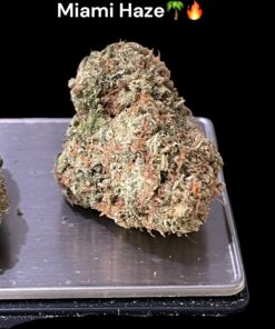 MIAMI HAZE 3.5g SATIVA 37%THC 🔥🌴🔥🌴 OLD SCHOOL HAZE - NEW BATCH LIMITED DROP