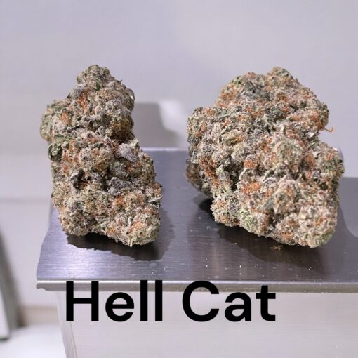 HELL CAT 3.5g HYBRID 32%THC (1937FLOWER) 🔥🔥 - Image 3