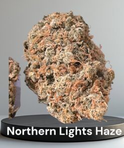 NORTHERN LIGHTS # 5 x HAZE 28GRAMS OZ ON SALE 🏆🏆🏆 RARE EXOTICS 36%THC LIMITED BATCH