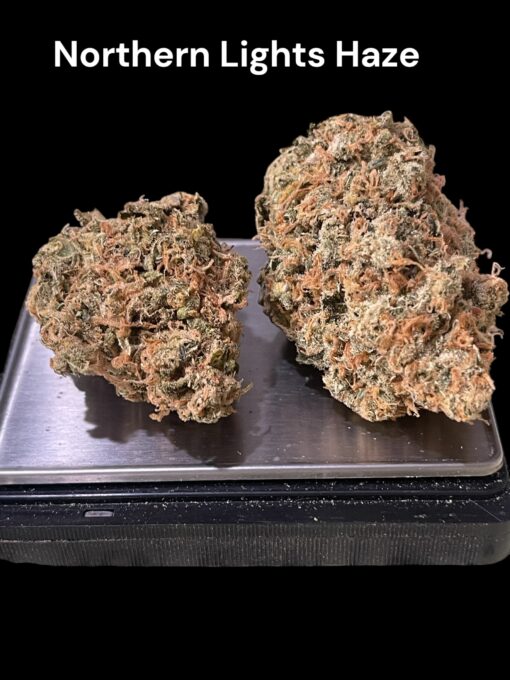 NORTHERN LIGHTS # 5 x HAZE 28GRAMS OZ ON SALE 🏆🏆🏆 RARE EXOTICS 36%THC LIMITED BATCH - Image 4