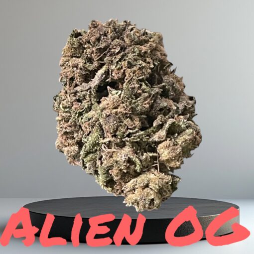 ALLIEN OG 28g OZ ON SALE 100 27%THC