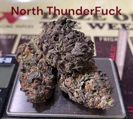 NORTH THUNDERFUCK 28g OZ ON SALE 27%THC 🔥🔥🔥 - Image 2