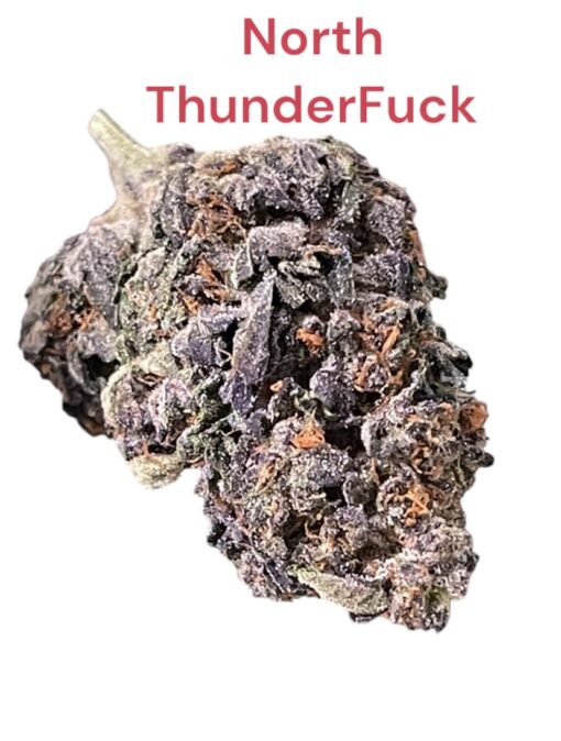 NORTH THUNDERFUCK 28g OZ ON SALE 27%THC 🔥🔥🔥 - Image 3