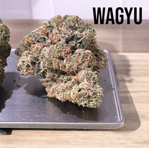 WAGYU 3.5g INDICA 🎉🎉 EXOTICS 36%THC 🏆🏆