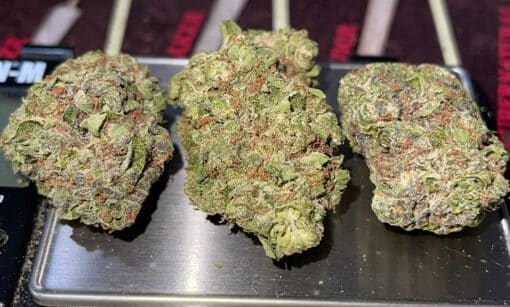 WHITE BACIO 28 g OZ ON SALE 27%THC HYBRID 🔥🔥 - Image 7
