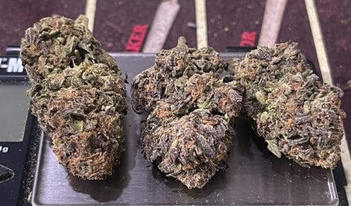 ΜEMORY LOSS 28grams OZ ON SALE SATIVA 🔥🔥 28%THC - Image 4