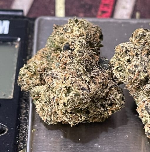 BLUE LOBSTER 28g ( Maine Trees) HYBRID EXOTIC ON SALE 37%THC MEMORIAL DAY SALE 🦞🦞 LIMITED BATCH🦞 - Image 4