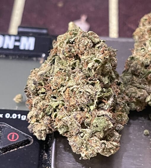 MIAMI SUNSET 28grams INDICA OZ ON SALE 27%THC 🔥🔥 - Image 4