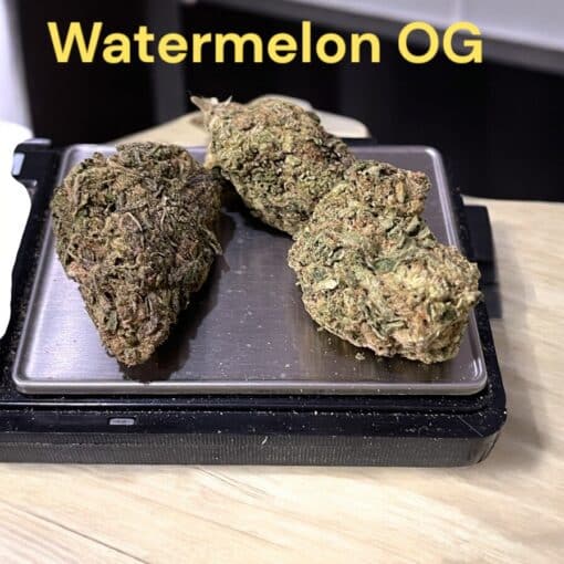 WATERMELON🍉🍉 OG 7GRAMS QUARTER 27%THC INDICA 🔥🔥🔥 - Image 3