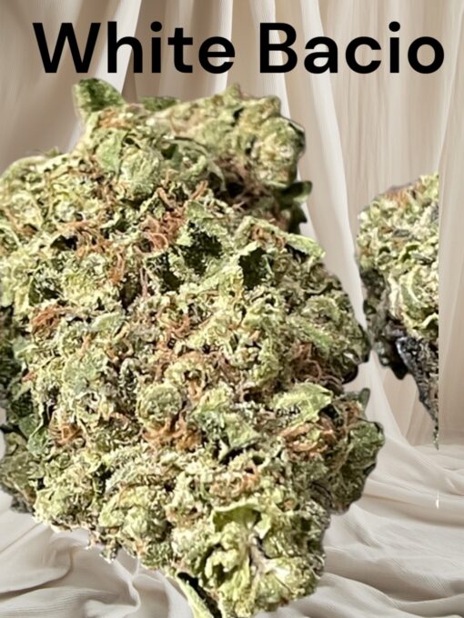 WHITE BACIO 28 g OZ ON SALE 27%THC HYBRID 🔥🔥 - Image 3