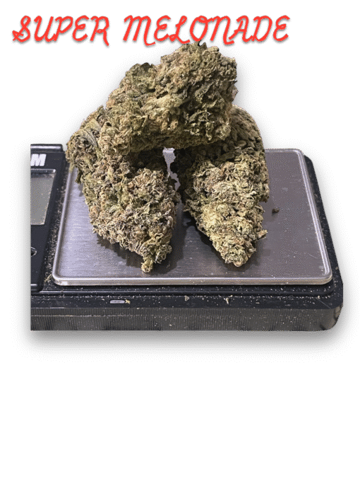 SUPER MELONADE 7GRAMS QUARTER SATIVA 26%THC ON SALE 🔥🔥 - Image 5