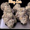 KING LOUIE  3.5g INDICA 32%THC 🔥🔥MEMORIAL DAY SALE 🔥🔥