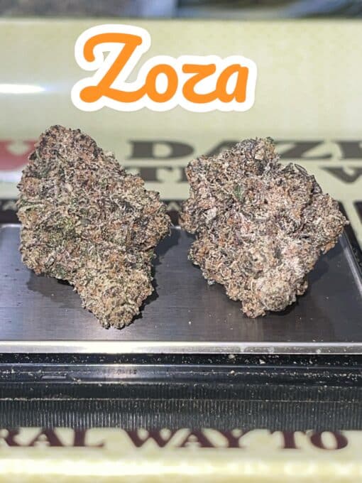 ZOZA 3.5g INDICA 37%THC EXOTIC SMALL BATCH MEMORIAL SALE 🔥🔥